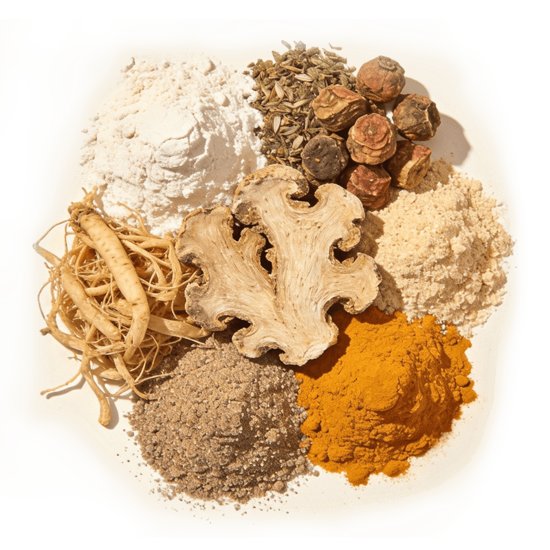 Ashwagandha KSM-66 supplement ingredients
