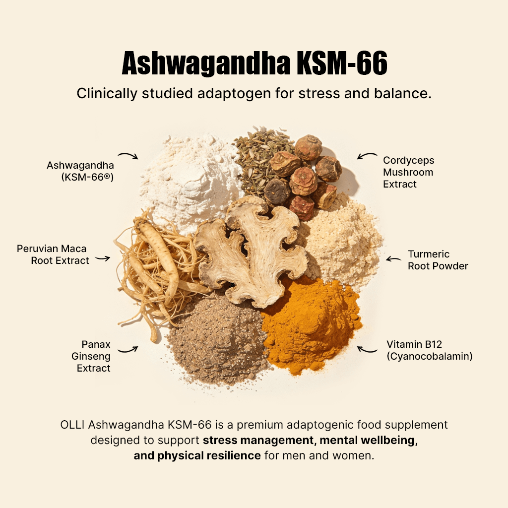 Olli Ashwagandha KSM-66 supplement for stress and balance