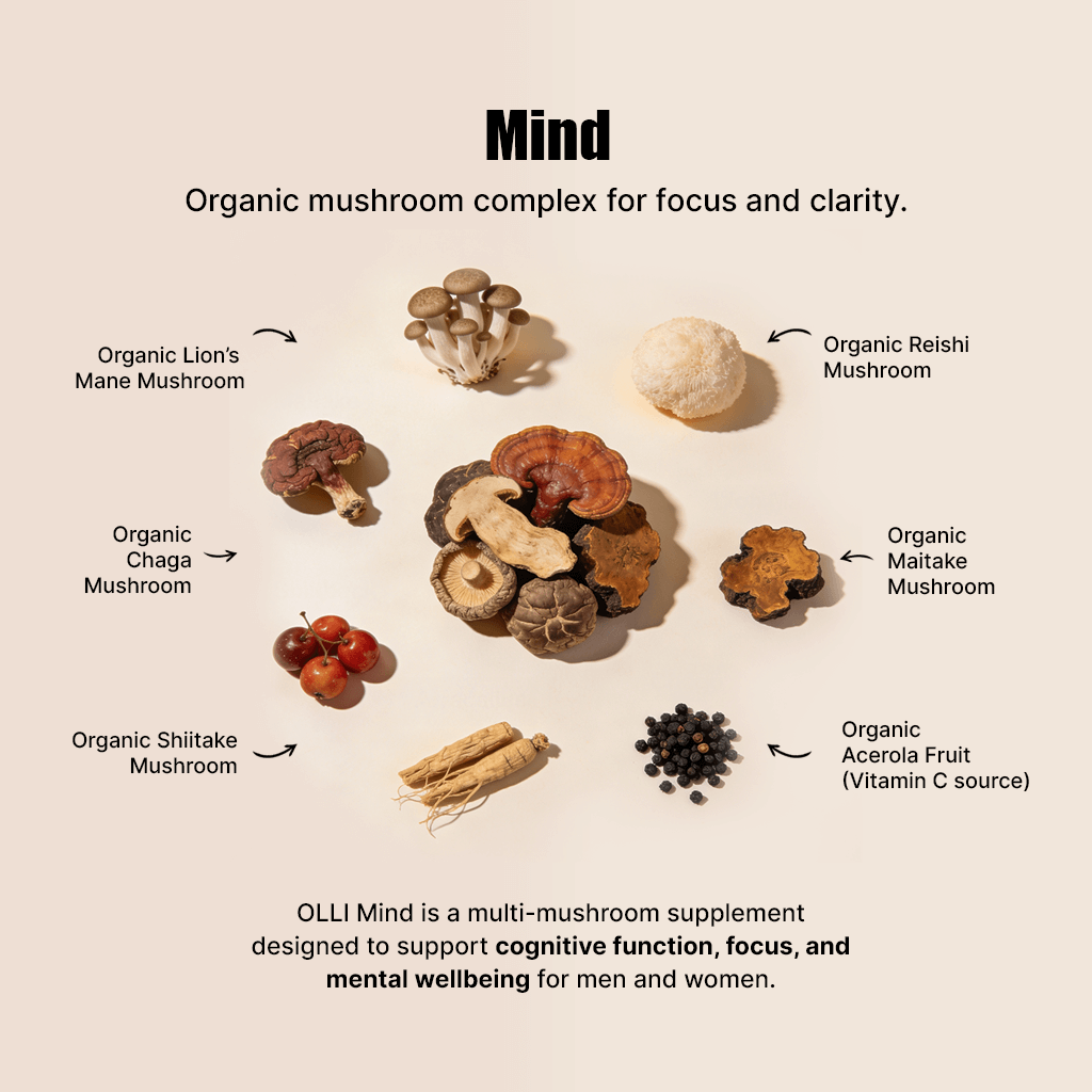 OLLI MIND organic multi-mushroom complex, a wellbeing supplement designed to fit seamlessly into everyday life for long-term mental and immune support.