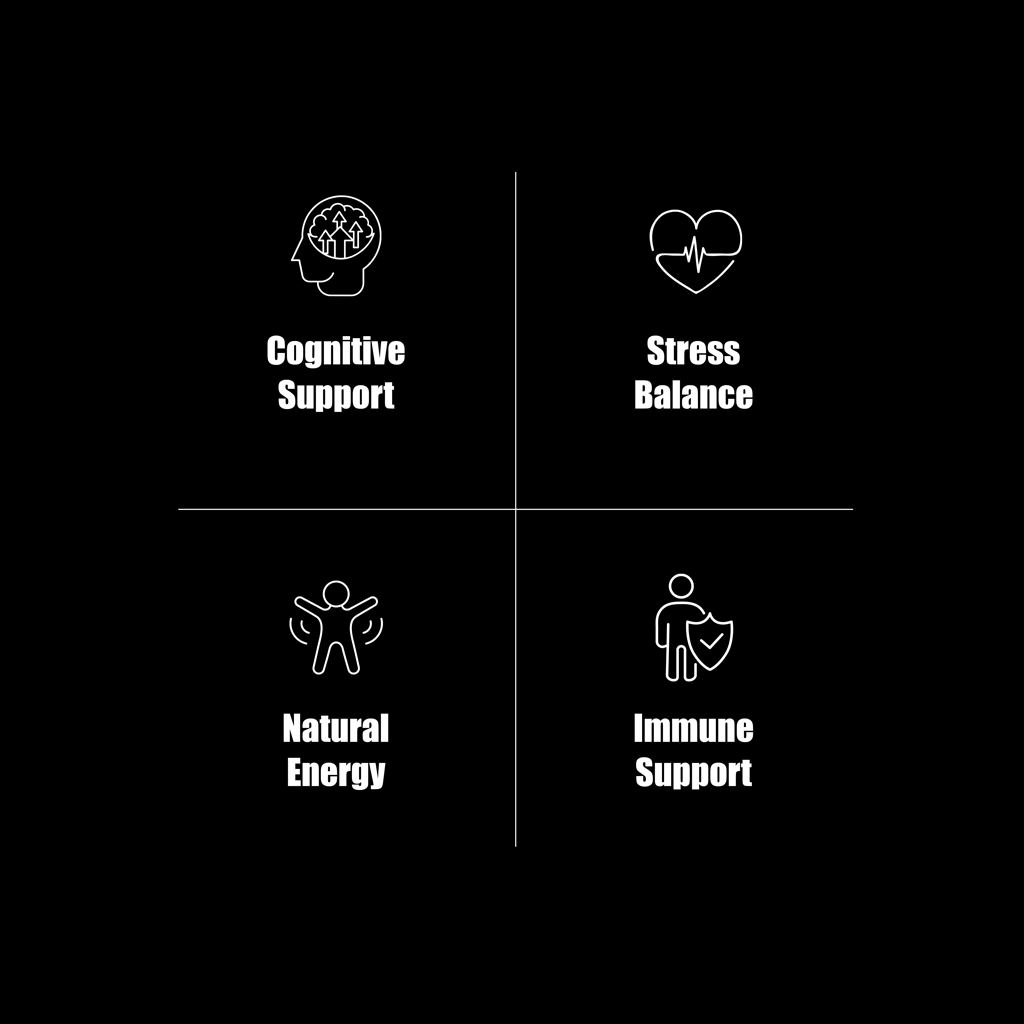 Four benefit icons highlighting the key wellbeing benefits of OLLI MIND organic multi-mushroom complex, including cognitive support, stress balance, natural energy and immune system support from functional mushroom extracts.