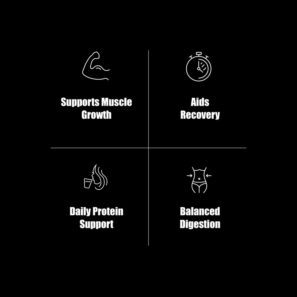 OLLI PX-Protein whey protein concentrate and isolate blend providing essential amino acids and BCAAs for muscle support